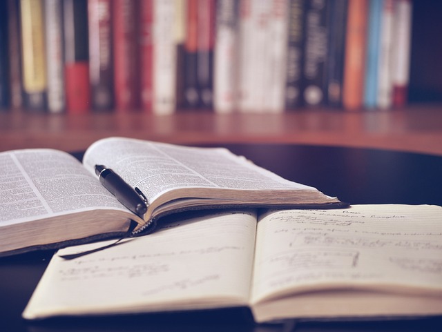 新加坡科技设计大学如何